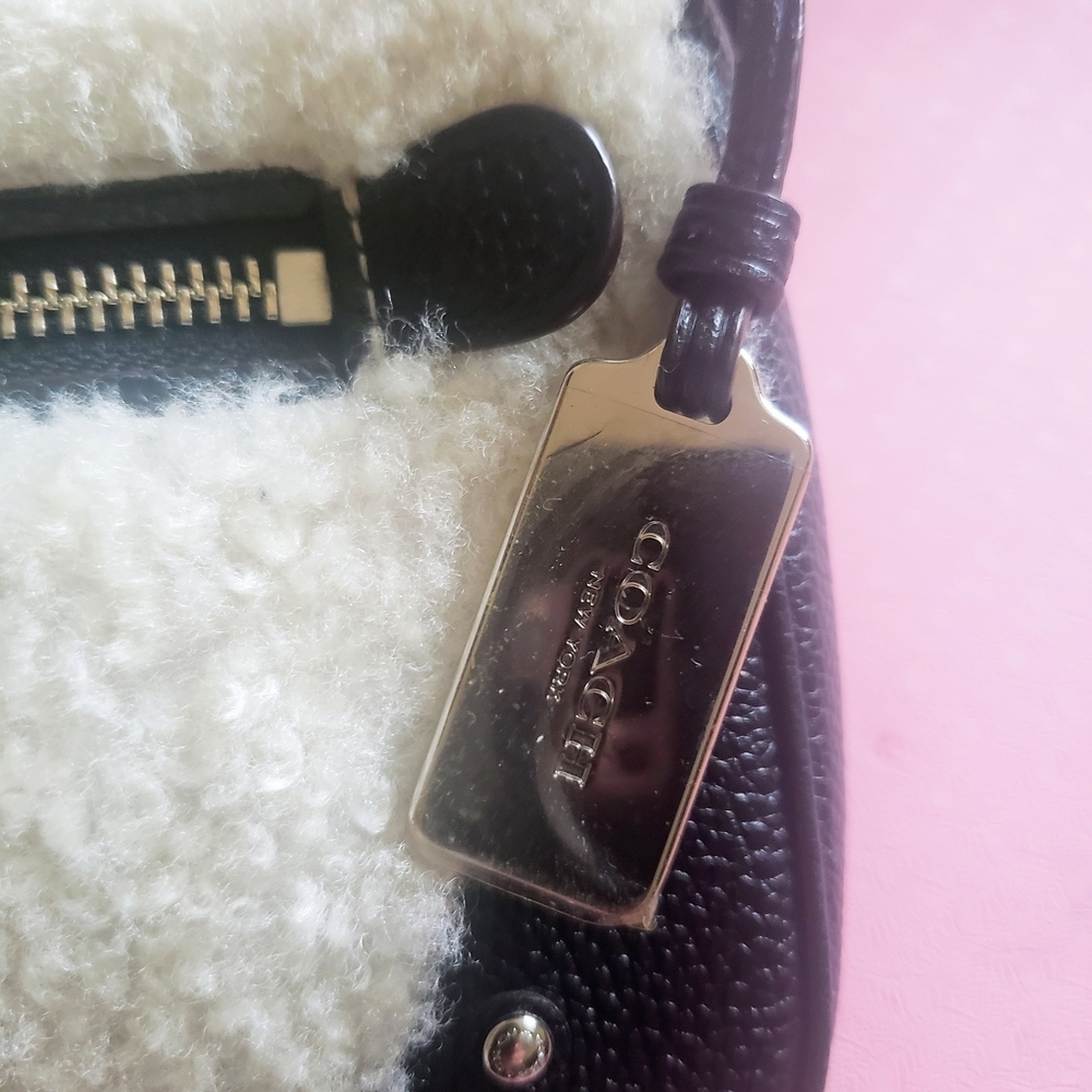 Coach Small Rhyder Pochette Shearling Crossbody Bag Wool Pebbled Leather - Picture 7 of 12